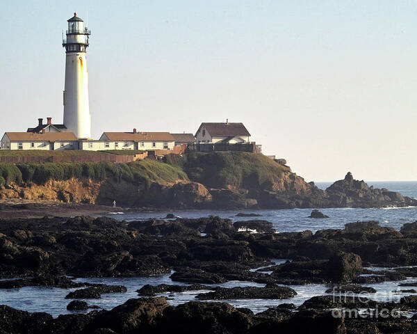 Lighthouse Poster featuring the photograph Pigeon Point Lighthouse #3 by Kimberly Blom-Roemer