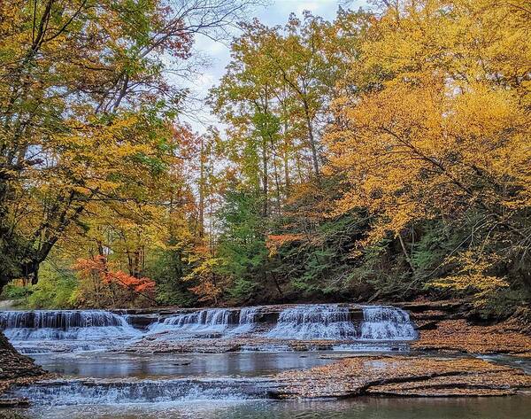  Poster featuring the photograph South Chagrin #3 by Brad Nellis