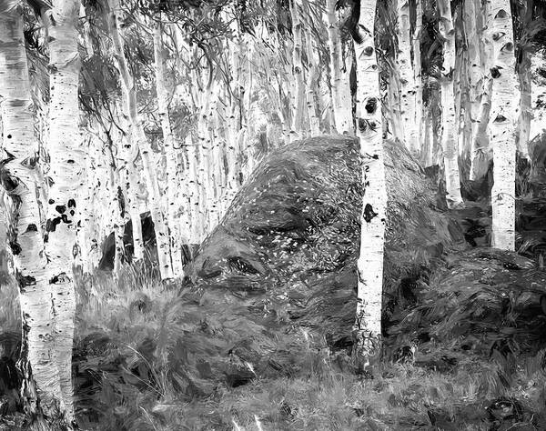 Aspens Poster featuring the photograph Aspen Stand Boulder Utah BW X100 by Rich Franco