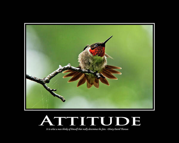 Inspirational Poster featuring the photograph Attitude Inspirational Motivational Poster Art by Christina Rollo