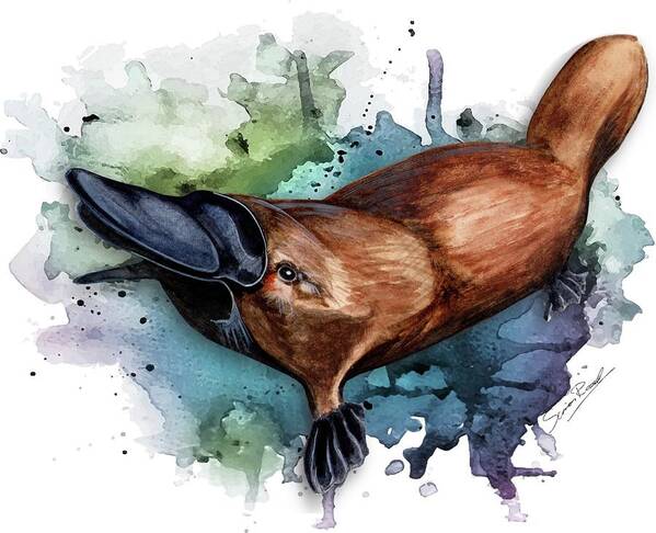 Art Poster featuring the painting Australian Platypus by Simon Read