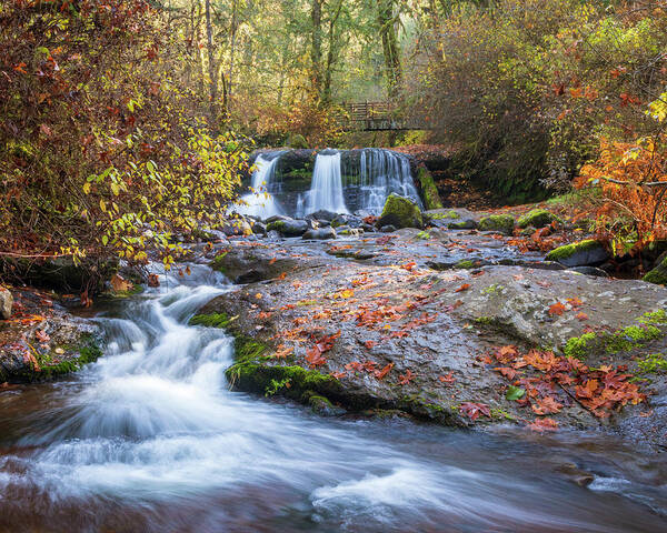 Mcdowell Falls Park Autumn Waterfall Poster featuring the photograph Autumn Waterfall by Catherine Avilez