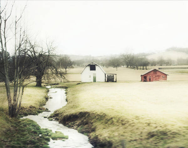 Barn Poster featuring the photograph Babbling Brook by Julie Hamilton