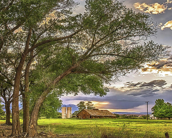 Clouds Poster featuring the photograph Barn And Trees by Don Schimmel