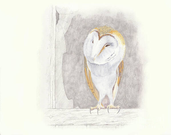 Tyto Alba Poster featuring the painting Barn Owl by Gordon Palmer