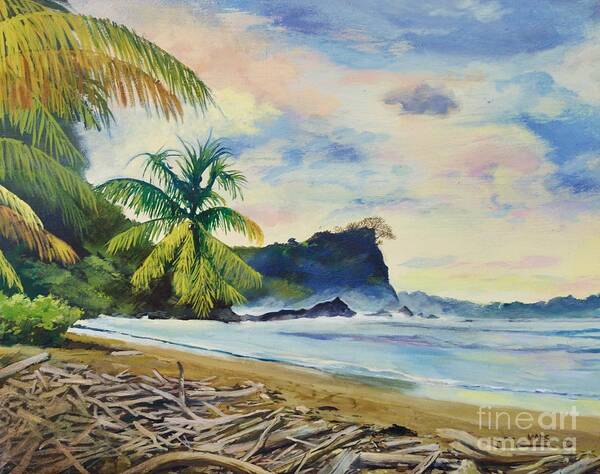 Waltmaes Poster featuring the painting Beach in Costa Rica by Walt Maes