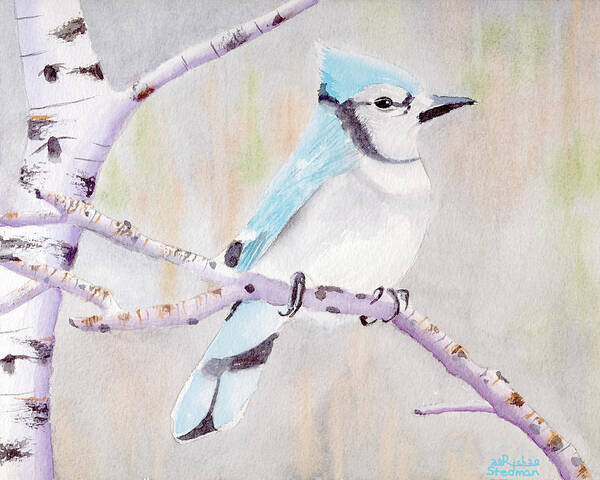 Bird Poster featuring the painting Benjamin Blue jay by Richard Stedman