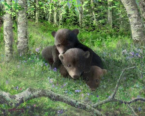 Black Bears Poster featuring the digital art Black Bear Cubs at Play by Marilyn Cullingford
