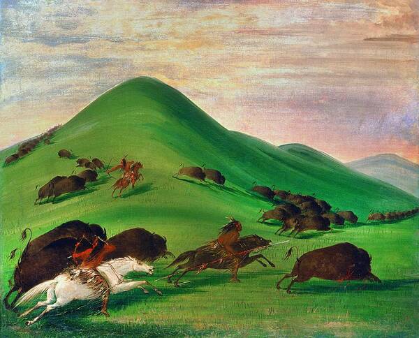 1830 Poster featuring the painting BUFFALO HUNT, 1830s by George Catlin