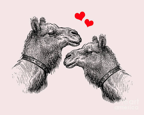 Camel Poster featuring the digital art Camel Couple by Madame Memento