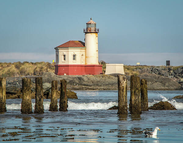 2018 Poster featuring the photograph Coquille River Lighthouse and Gull by Gerri Bigler