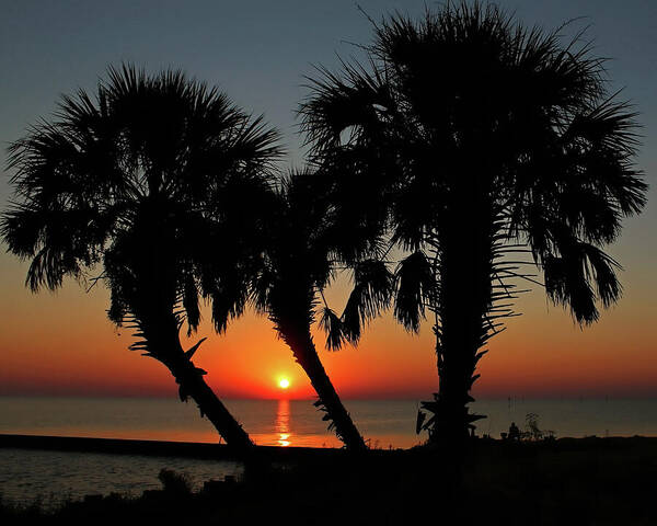 Sunset Poster featuring the photograph Daybreak by Judy Vincent