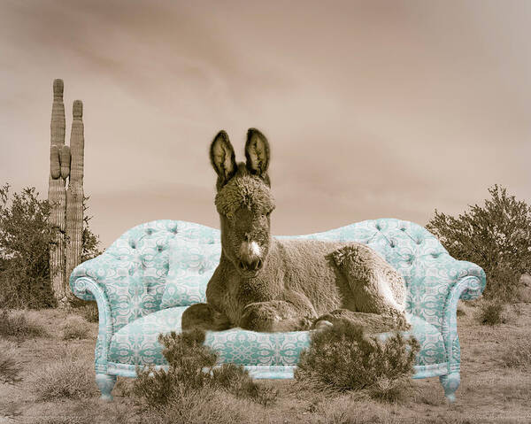 Wild Burro Poster featuring the photograph Desert Diva by Mary Hone