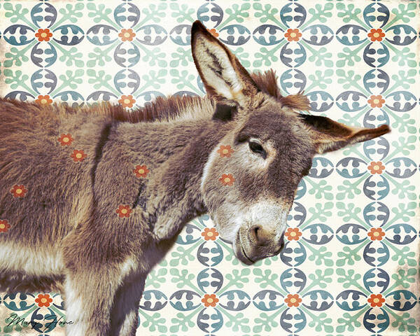 Burros Poster featuring the photograph Did Someone Say Burrrrrito?? by Mary Hone