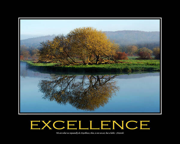 Inspirational Poster featuring the mixed media Excellence Inspirational Motivational Poster Art by Christina Rollo