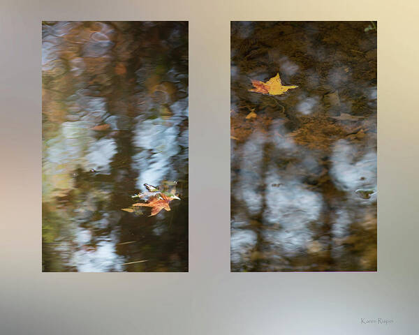 Fall Poster featuring the photograph Fall Pond With Maple by Phil And Karen Rispin