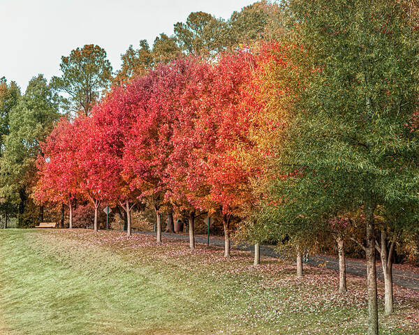 Fall Poster featuring the photograph Fall Rainbow by Rick Nelson