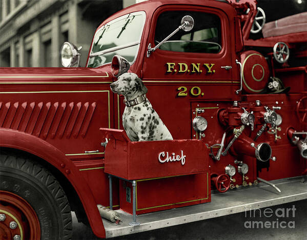  Poster featuring the photograph Fire Engine F.D.N.Y by Franchi Torres