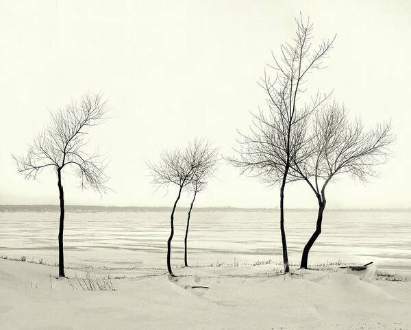 Lake Poster featuring the photograph Five Lone Trees - Caseville, Michigan USA - by Edward Shotwell