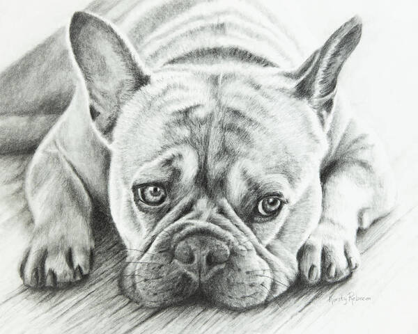 Bulldog Poster featuring the drawing Frenchie by Kirsty Rebecca