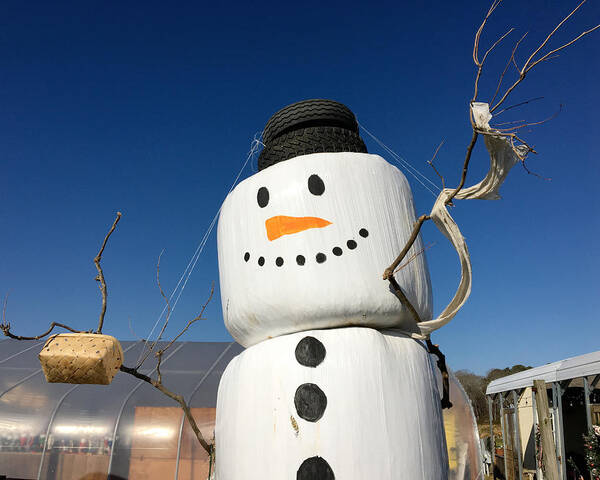 Frosty Poster featuring the photograph Frosty, a Hay Bale Snowman - Horizontal by Bill Swartwout