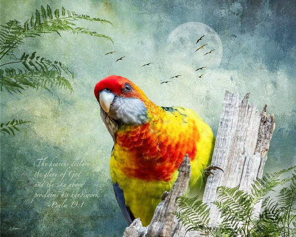 Parrot Poster featuring the digital art Green Rosella Hybrid, of Tasmania by Cindy Collier Harris
