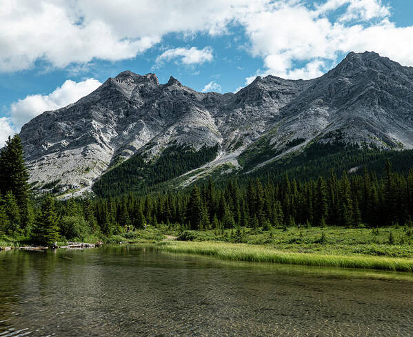 River Poster featuring the photograph headwaters of the Elbow River by Phil And Karen Rispin