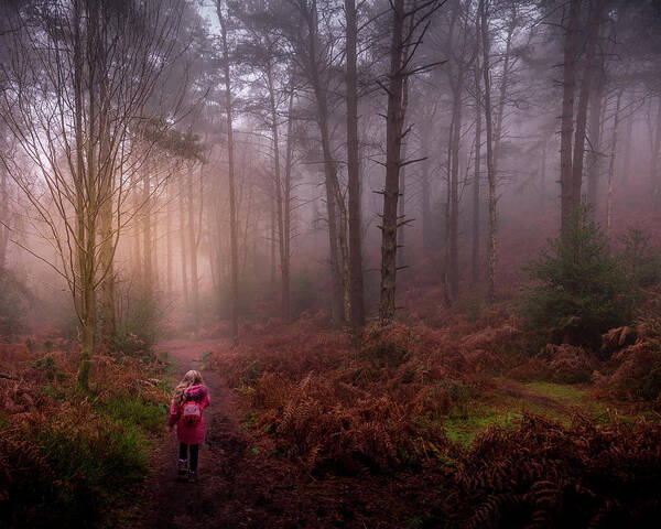 Woods Poster featuring the photograph Into the woods by Chris Boulton