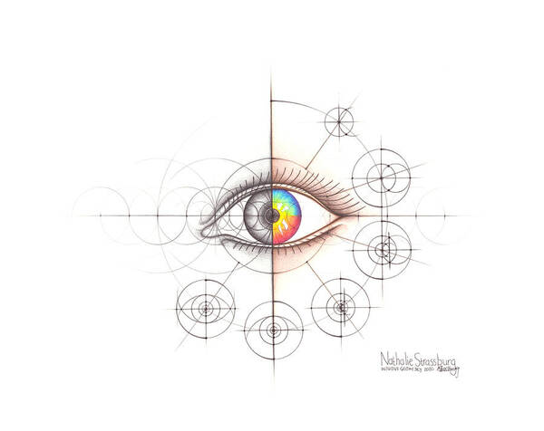 Anatomy Poster featuring the drawing Intuitive Geometry Human Anatomy - Eye by Nathalie Strassburg