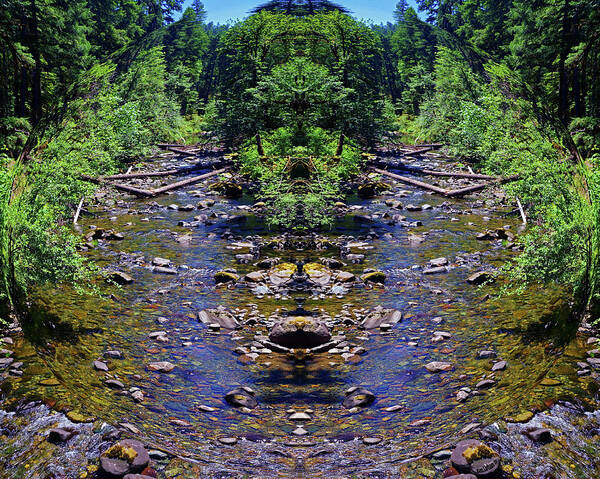 Nature Art Poster featuring the photograph Laughing Waters of the Umpqua Forest by Ben Upham III