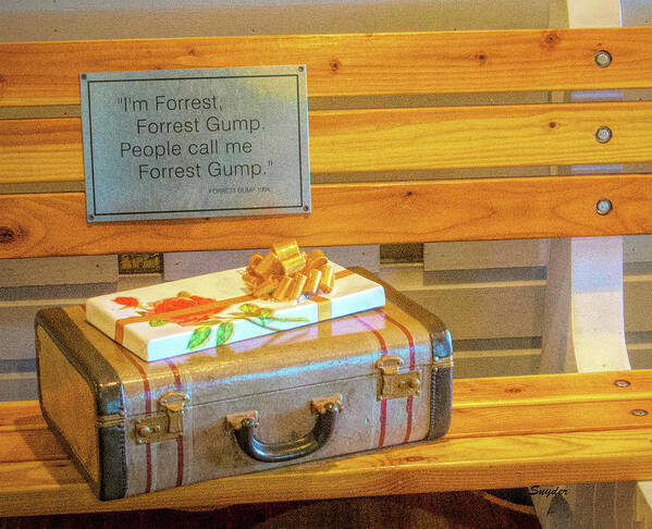  Poster featuring the photograph Life Was Like A Box Of Chocolates Forrest Gump by Barbara Snyder