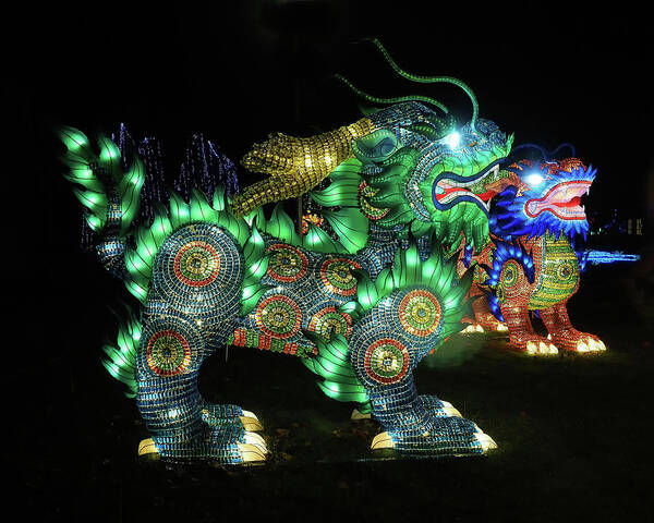 Chinese Lantern Festival Poster featuring the photograph Light Dragons by Scott Olsen
