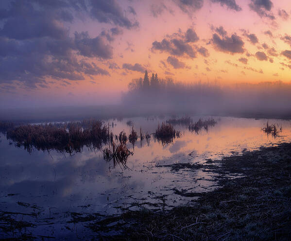 Landscape Poster featuring the photograph May Morning at the Pond by Dan Jurak