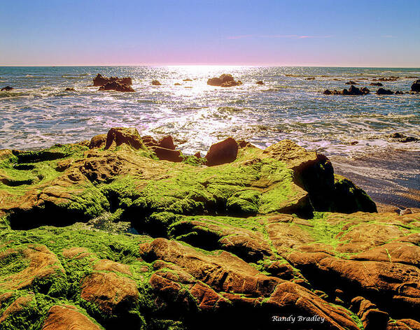 West Coast Poster featuring the photograph Mossy Rocks in Afternoon Sun by Randy Bradley