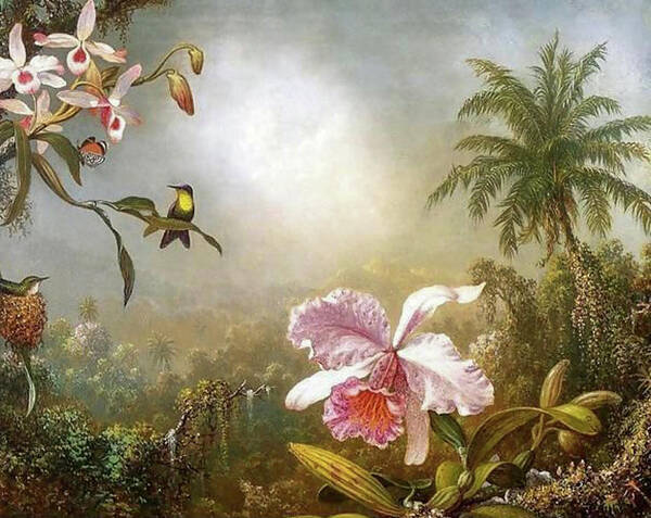 Martin Johnson Heade Poster featuring the painting Orchids Nesting Hummingbirds And A Butterfly by Martin Johnson Heade