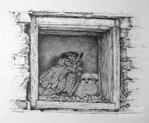 Owl Poster featuring the drawing Owl Family by Pamela Sanders