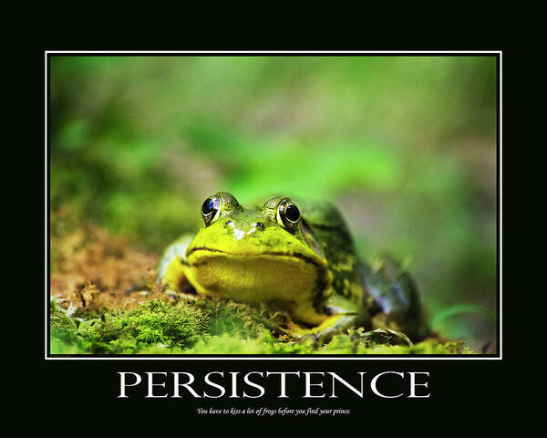 Inspirational Poster featuring the photograph Persistence Inspirational Motivational Poster Art by Christina Rollo