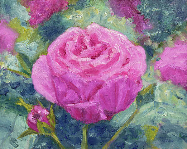 Pink Rose Poster featuring the painting Pink Garden Rose by Maria Meester