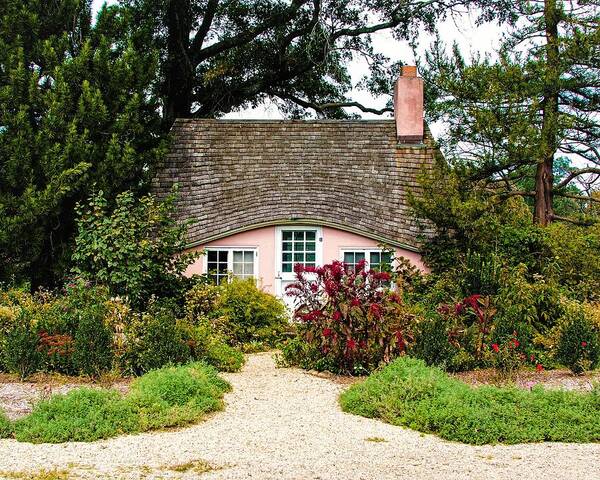 House Garden Walkway Tree Door Window Poster featuring the photograph Planting fields1 by John Linnemeyer