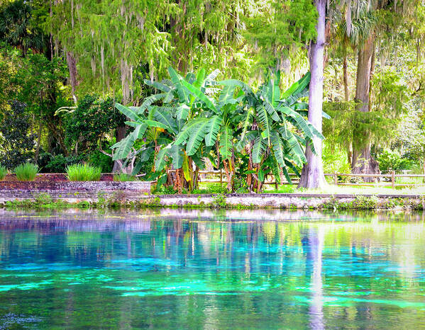 Rainbow Springs Poster featuring the photograph Rainbow Springs State Pk. by Alison Belsan Horton