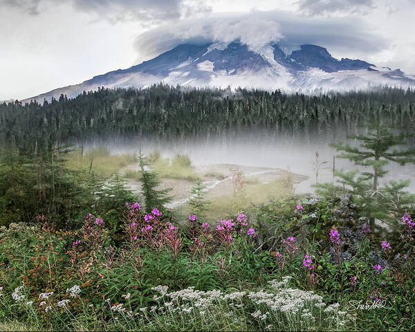 Mountain Poster featuring the photograph Rainy Day at Mt. Rainier by Shara Abel