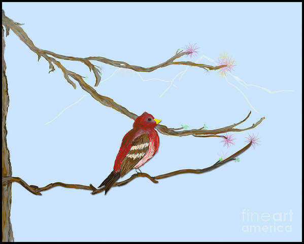 Redbird Poster featuring the digital art Redbird on Limb by Kae Cheatham