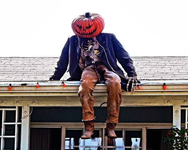 Halloween Poster featuring the photograph Roof Monster by Andrew Lawrence