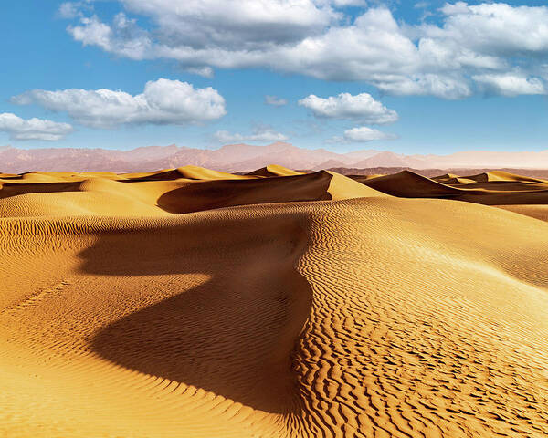 Sand Dunes Poster featuring the photograph Sand Dunes by GLENN Mohs