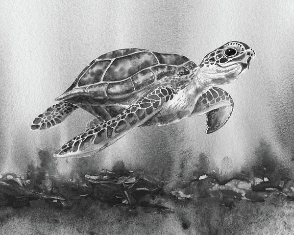 Turtle Poster featuring the painting Sea Turtle Gray Watercolor Ocean Creature VIII by Irina Sztukowski