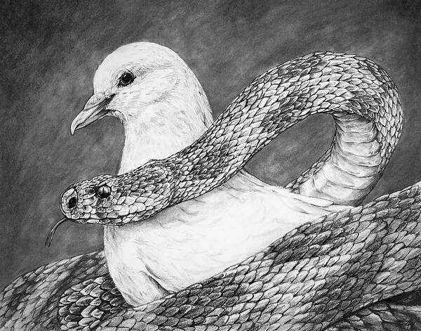 Dove Poster featuring the drawing Serpent and Dove by Aaron Spong