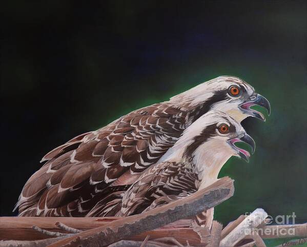 Osprey Poster featuring the painting Sisters by Barbara Clements