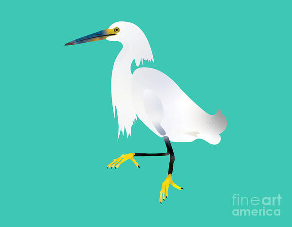 Snowy Egret Poster featuring the digital art Snowy Egret, Bird, Illustration, by David Millenheft