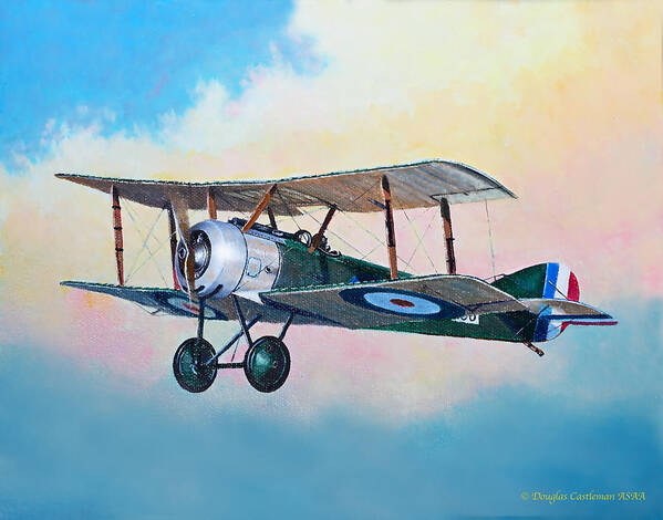 Aviation Poster featuring the painting Sopwith Pup Fighter by Douglas Castleman