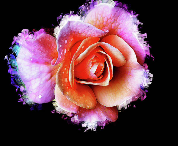 Rose Poster featuring the photograph Splashy Rose by Bill and Linda Tiepelman